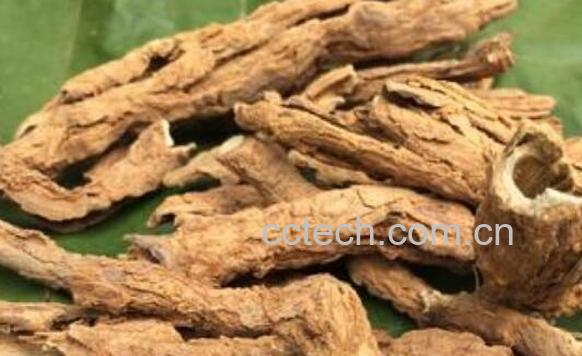 枸杞根和地骨皮的区别 枸杞根的功效与作用-1