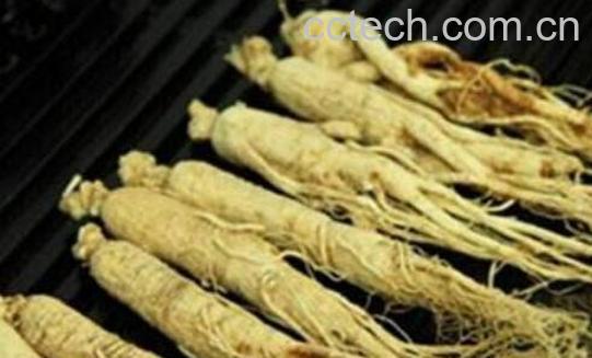 假人参吃了有什么危害 假人参有什么害处-1