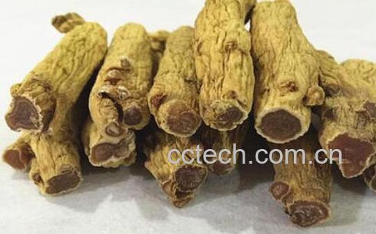 东洋参哪些人不宜服用 吃东洋参的禁忌-0