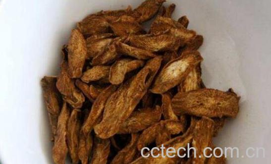 牛蒡和东洋参的外观区别-0