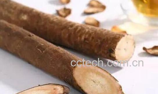 东洋参泡水喝的功效与作用-1