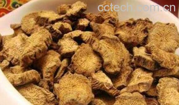 山牛蒡的功效与作用-1