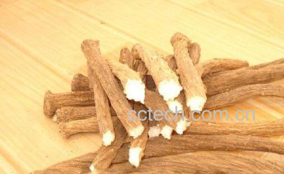 山牛蒡的功效与作用-0