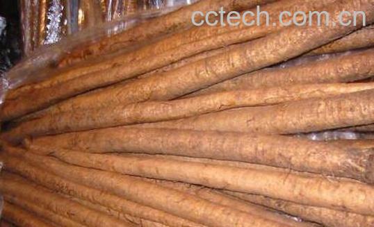 山牛蒡怎么炒好吃 山牛蒡的食用方法-0