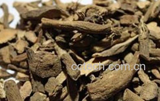 山牛蒡怎么炒好吃 山牛蒡的食用方法-1