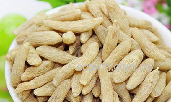 麦冬的功效与作用 吃麦冬的好处有哪些-0