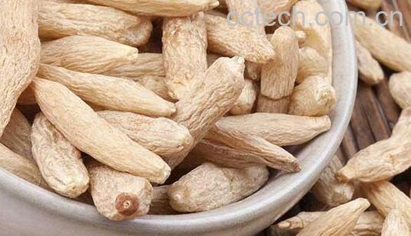 麦冬的功效与作用 吃麦冬的好处有哪些-1