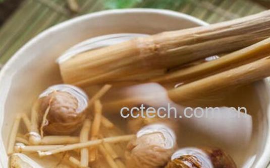 葛根甘蔗水的功效和作用-0