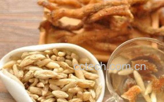 女人喝麦冬泡水的好处和坏处-1