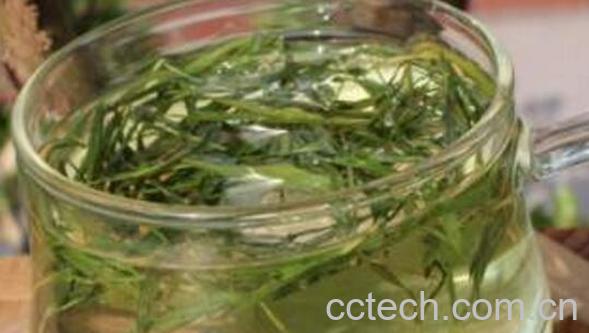 洗竹叶的功效与作用-0