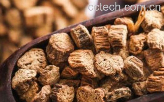  牛U的功效与作用 牛U的副作用-1