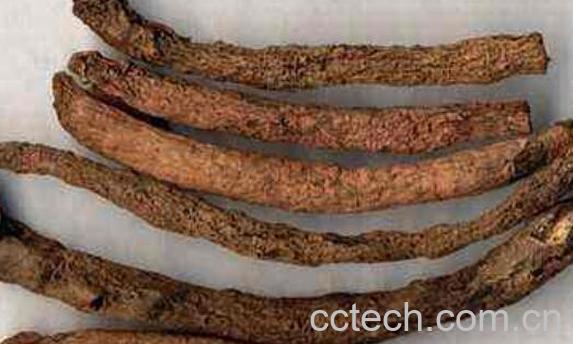 仙茅的功效与作用 仙茅的副作用 -1