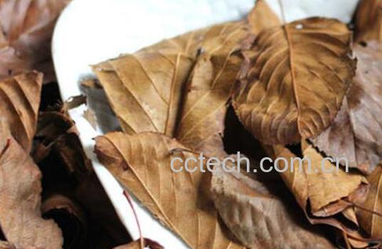 山楂叶怎么食用 山楂叶不适合哪种人喝-1