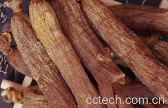 高丽参和红参的区别 高丽参的功效-1