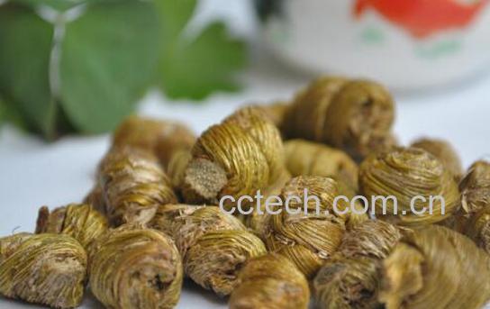 石斛对男人的功效与作用-1