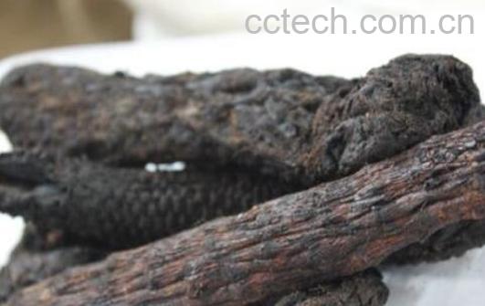 淡苁蓉与肉苁蓉的区别 淡苁蓉的功效与作用-0