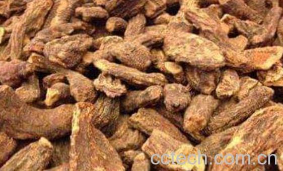 淡苁蓉与肉苁蓉的区别 淡苁蓉的功效与作用-1