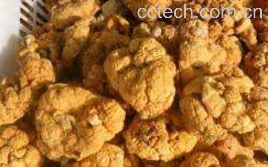 男人吃紫河车后的变化-1