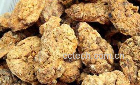 男人吃紫河车后的变化-0