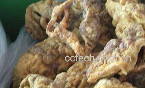 男人吃紫河车的好处 男人怎么吃紫河车好-1