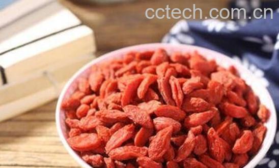 枸杞对男人的功效与作用-1