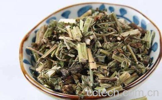 益母草对男人的功效	-0