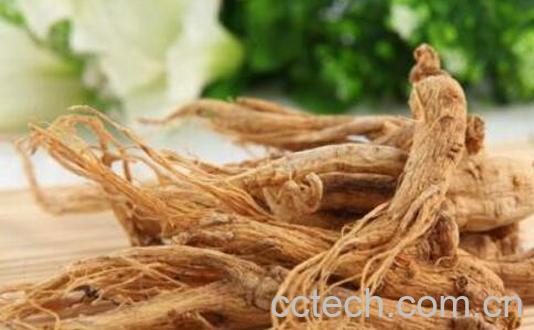 西洋参对男人的功效与作用-1