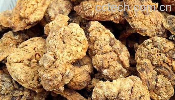 紫河车对男人的功效与作用 男人吃紫河车的好处-0