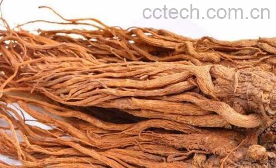 当归对男人的功效与作用-0