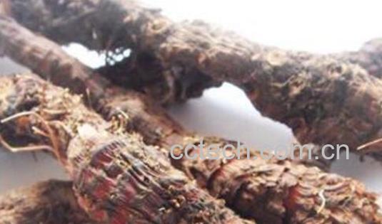 九牛造对男人的功效-0