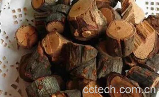 黑老虎根对男人的功效-1