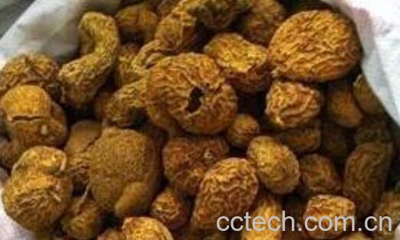 金果榄怎么吃 金果榄的食用方法-0