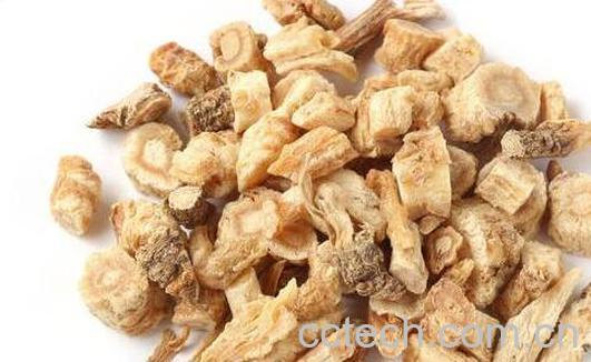 沙参的功效与作用 沙参的禁忌-0