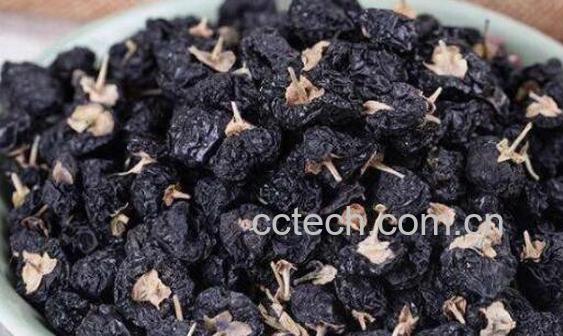 黑枸杞的功效与作用及禁忌-0