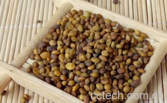 做馍用的苦豆子的功效与作用-0