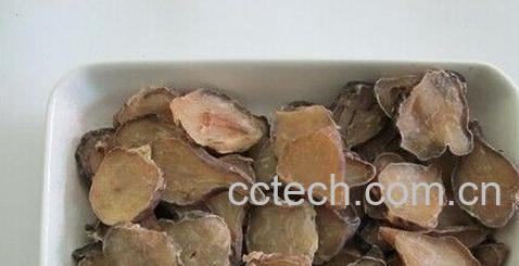 果蔬百科附子-0