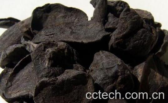 果蔬百科黑附子的功效与作用-0