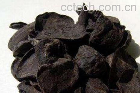 中药附子的功效与作用-1