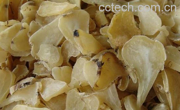 果蔬百科白附子的功效与作用-0