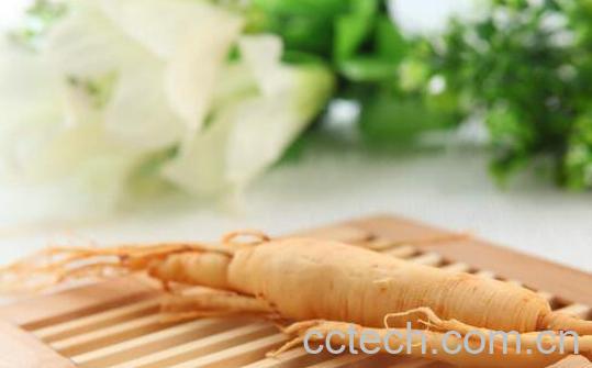 十一类人不适宜吃人参-1