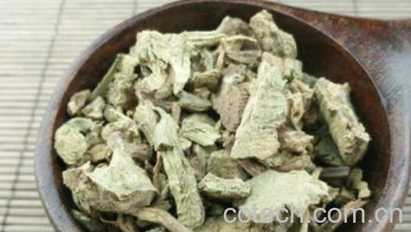 香茶菜根的功效与副作用-1