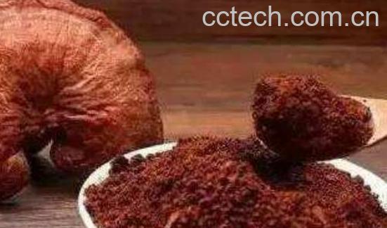 灵芝孢子粉怎么吃效果最好-1