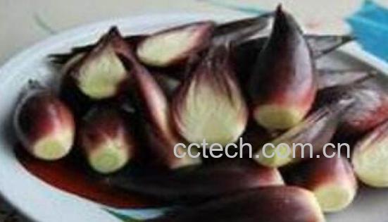 襄荷的功效作用 襄荷有什么用处-0