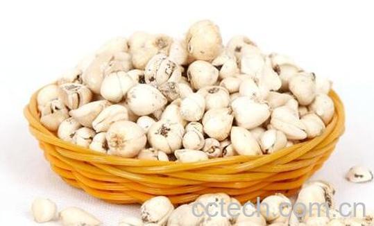 藏贝母怎么吃 藏贝母的食用方法-0