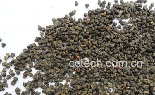 冬葵子的功效与作用有哪些-0