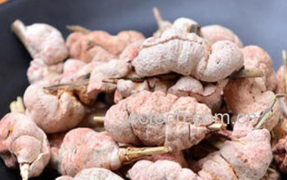 竹花泡水的功效与作用-0