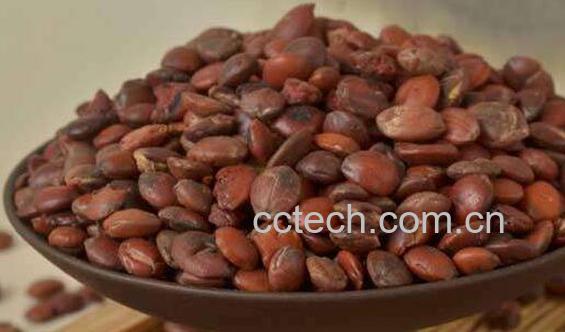 酸枣仁泡水喝的功效-0