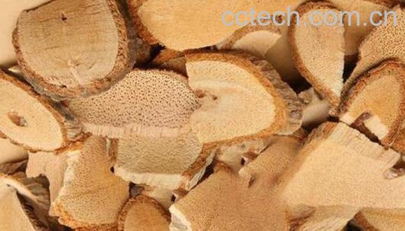 猕猴桃根有什么功能和作用-0