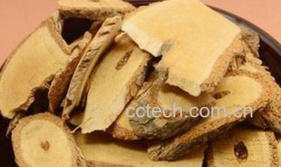 猕猴桃根有什么功能和作用-1