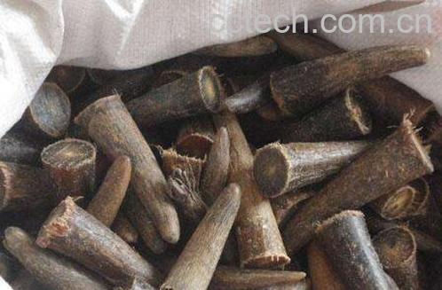 如何区分白水牛角和白牦牛角-1